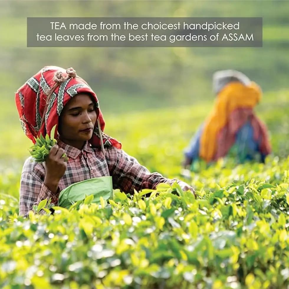 Original Masala Tea – (100g) - View 4